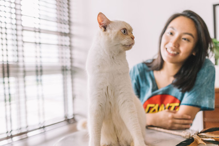Pet behaviour 4