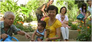 City in a garden 1