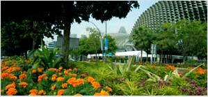 City in a garden 6