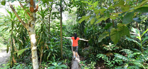 Natural ecosystem