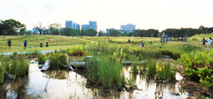 Parks with nature