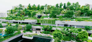 skryrise greenery