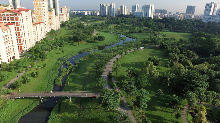 CYN 1 Park