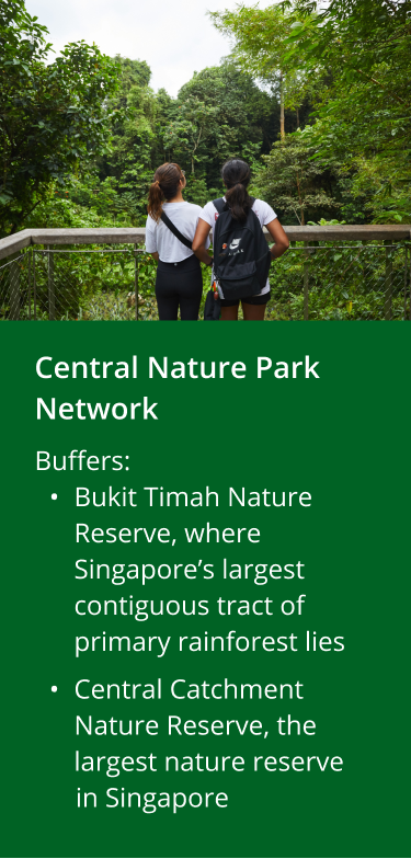CYN Central Nature Park Network