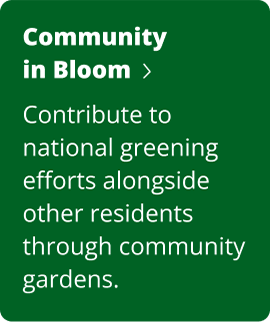 CYN Community in Bloom