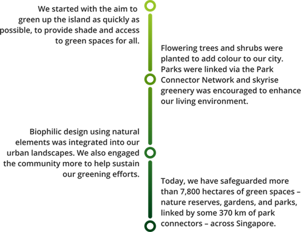 CYN Timeline