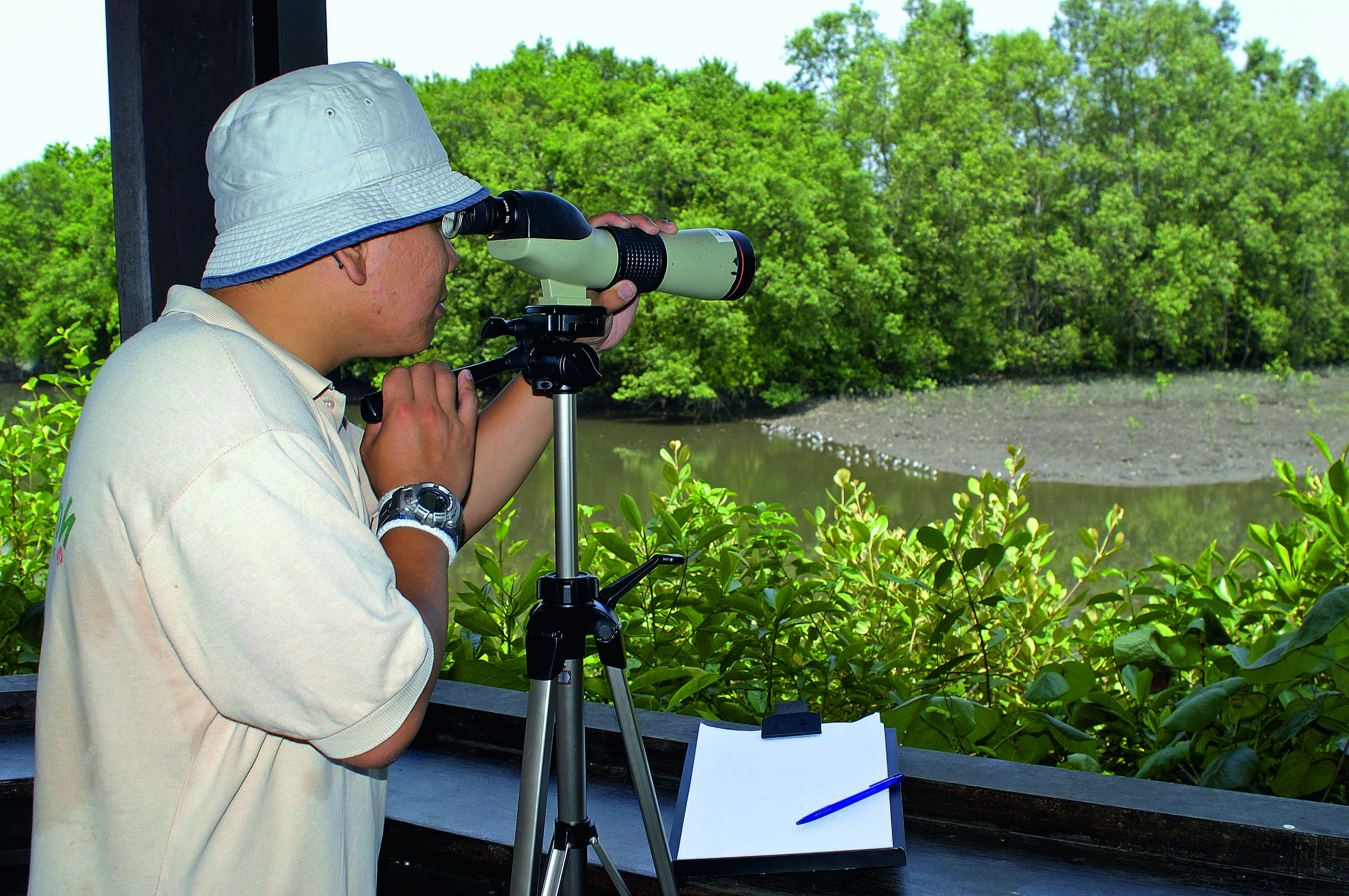 birdwatching