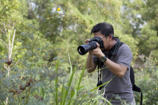 photography in the park