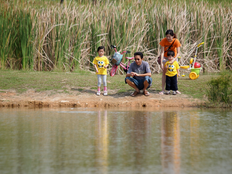 Family Time With Nature Activities National Parks Board Nparks