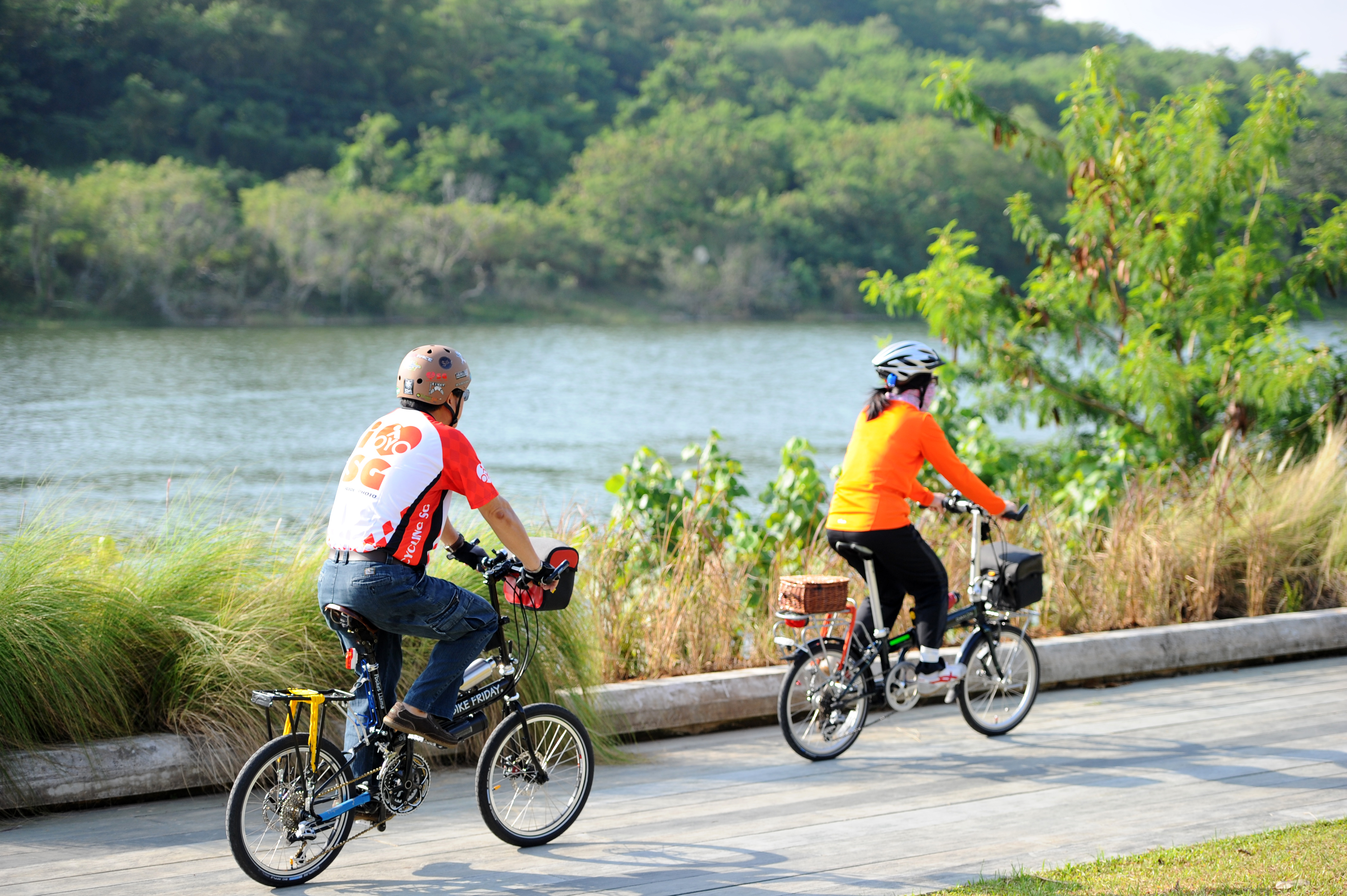 Nat sted Tidsserier pause Cycling - Fitness, Sports and Wellness - Activities - National Parks Board  (NParks)