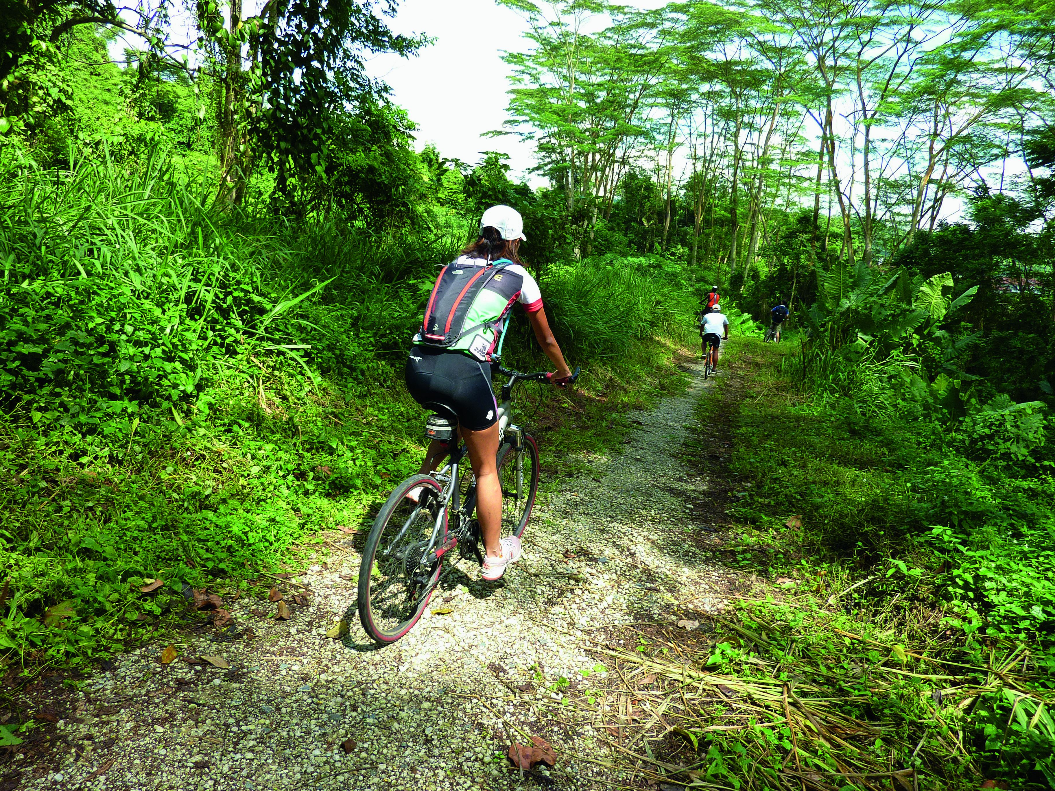 Mountain Biking