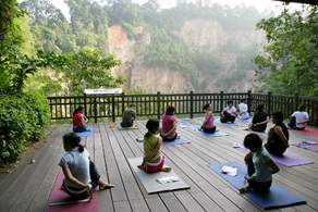 wellness