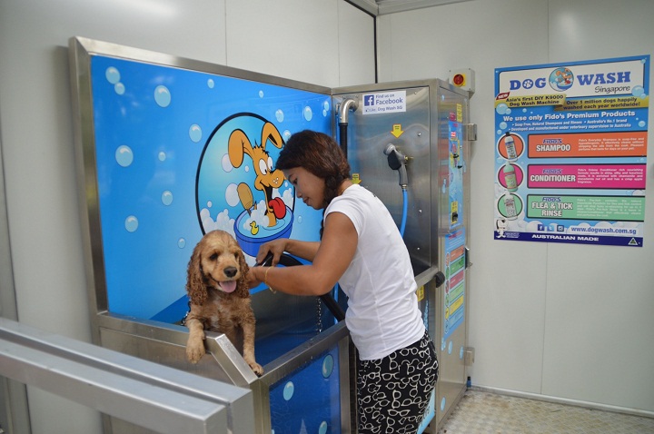 Free Diy Dog Wash Near Me Mobile Dog Grooming Dash Dog