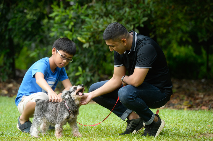 can you bring dogs into national parks