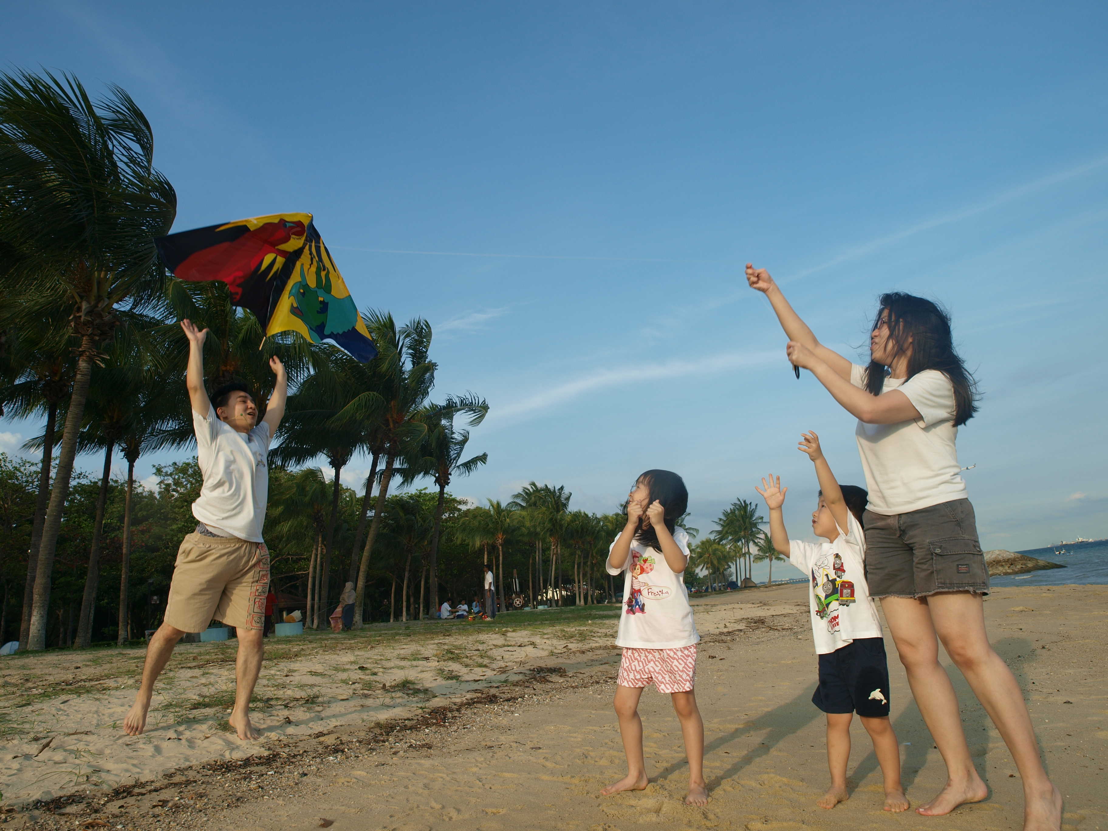 kite flying