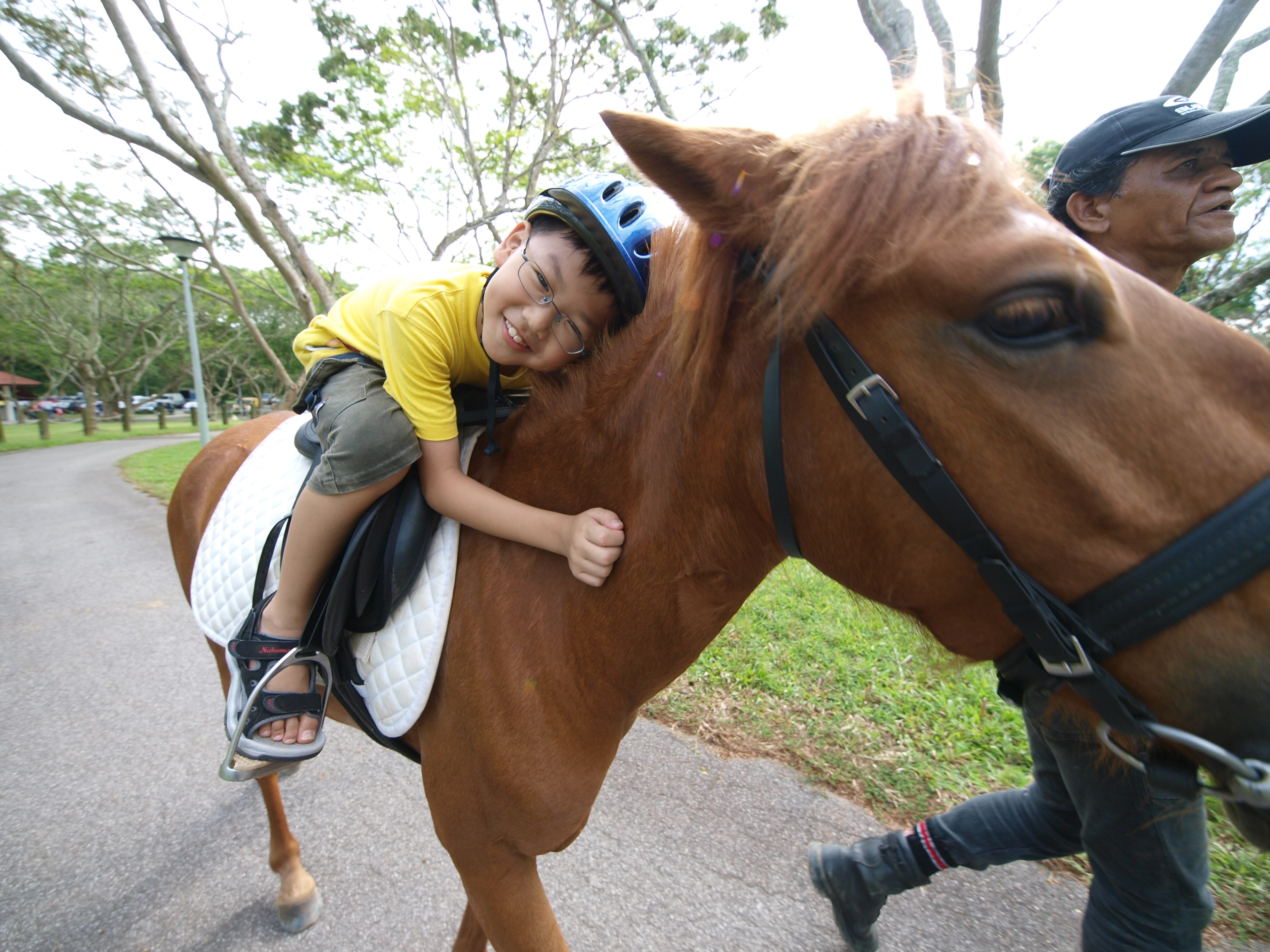 pony riding