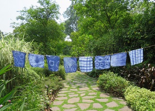 14 Jun Arts in the Garden Edit