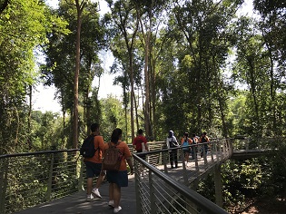 Walk of Giants