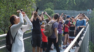 a group of participants are taking photos of the birds along the southern ridges