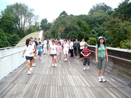 Photo of participants at the henderson waves during the Fun Walk Along Southern Ridges trail.