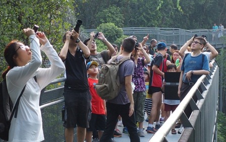 bird watching along the southern ridges