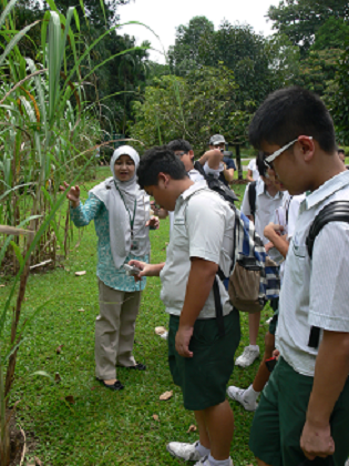 Ecogarden Tour - Plants and Their Uses