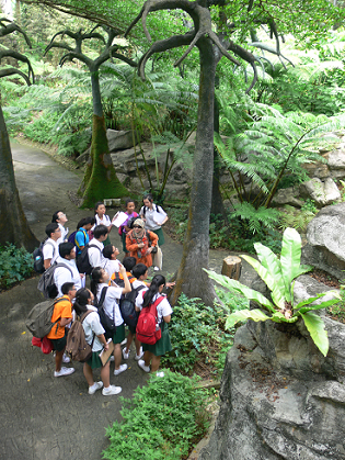 Evolution and Adaptation of Plants