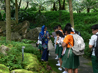Plant Classification