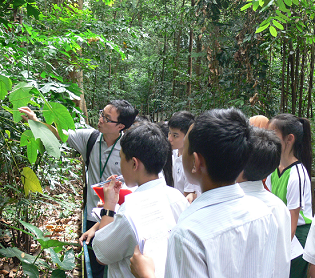 Rainforest Trek