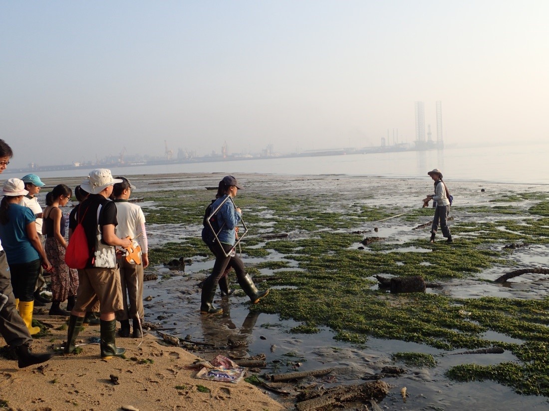 Intertidal Watch volunteers laying transect tapes