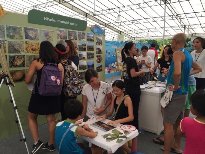 Intertidal Watch at FOB 2016