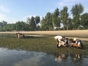 Intertidal Watch