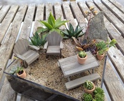 Image of a dish garden