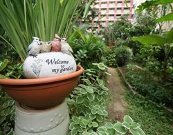 Community Gardens