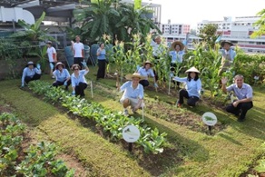 gardening