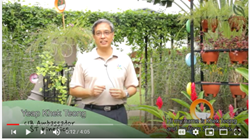 CIB Outdoor Gardens Videos