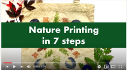 DIY Gardening & Craft Videos