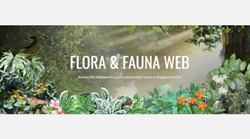 FFW