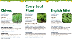 What to Grow