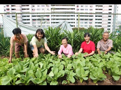 Gardening with Edibles