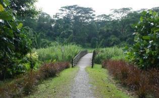 DIY walk
