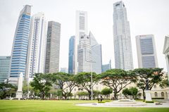 Civic District Tree Trail