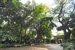 Fort gate