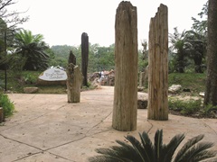Singapore Botanic Gardens - Evolution Garden