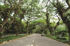 Heritage roads - Arcadia