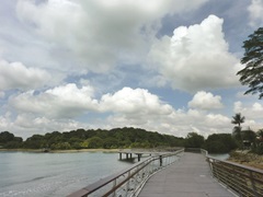 Bukit Chermin Boardwalk