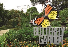 HortPark Butterfly Garden