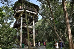 Pasir Ris Park - Lookout Tower