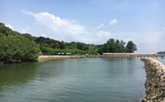 St John's Island Trail