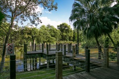 West Coast Park